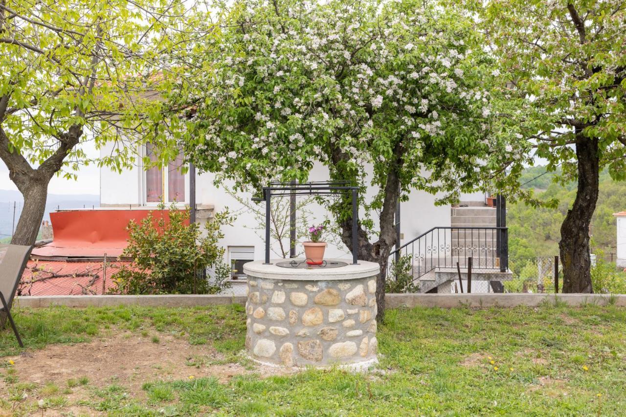 Archontiko Fotini - Traditional Guesthouse Meteora Kalampaka Exteriör bild